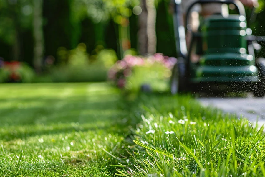 best rated battery lawn mower